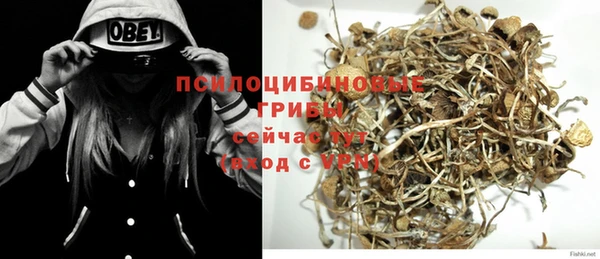 кристаллы Дмитриев