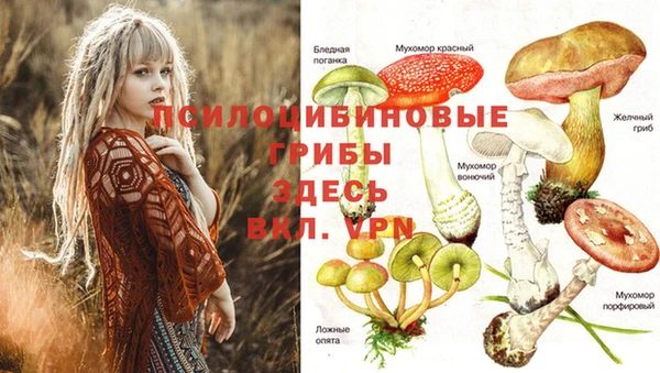 герыч Дмитровск